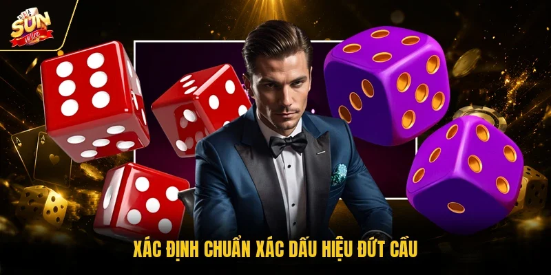 Xác định chuẩn xác dấu hiệu đứt cầu